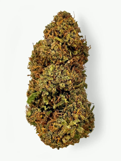 Gelato Flower - THWC Ltd