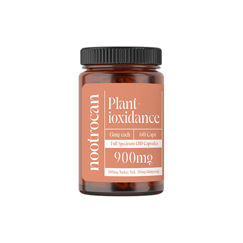 Nootrocan 900mg Full Spectrum CBD Capsules & Mushroom Oil - 60 Caps - THWC Ltd
