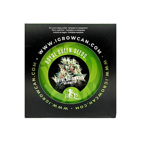 Royal Queen Seeds IGrowCan Growing Kit - THWC Ltd