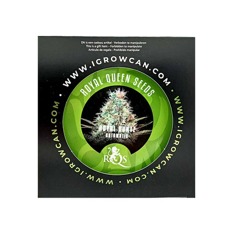 Royal Queen Seeds IGrowCan Growing Kit - THWC Ltd