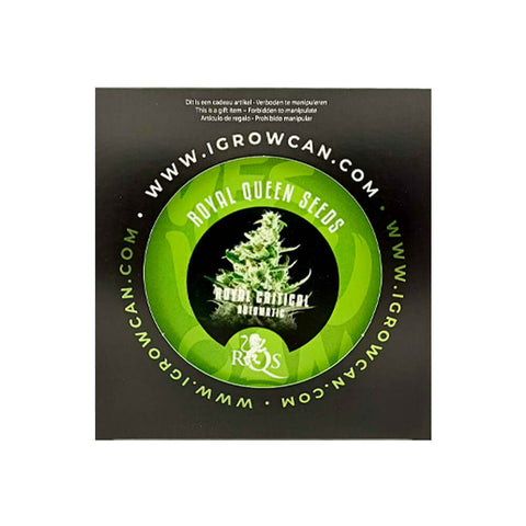 Royal Queen Seeds IGrowCan Growing Kit - THWC Ltd