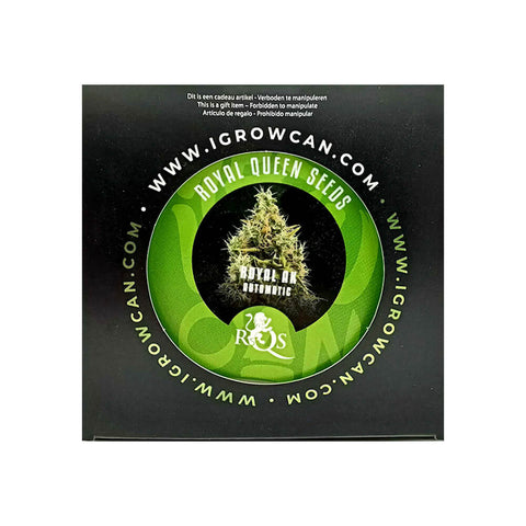 Royal Queen Seeds IGrowCan Growing Kit - THWC Ltd