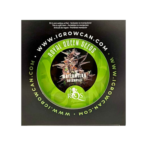 Royal Queen Seeds IGrowCan Growing Kit - THWC Ltd