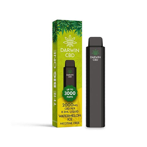 Darwin The Big One 2000mg CBD Disposable Vape Device 3000 Puffs - The Hemp Wellness Centre