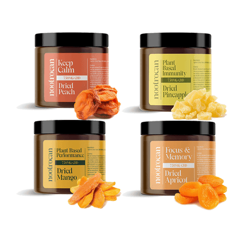 Nootrocan 750mg Full Spectrum CBD Nootropic Dried Fruits - 300g - The Hemp Wellness Centre