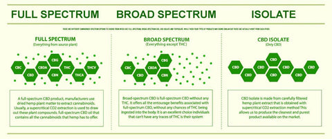 Full Spectrum, Broad Spectrum or Isolate? - THWC Ltd