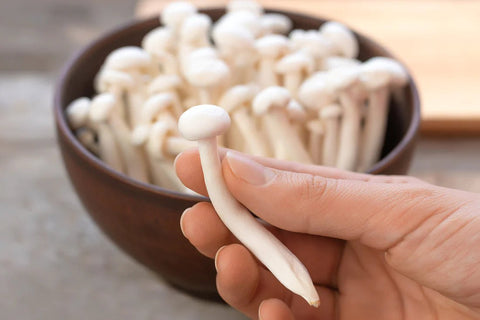 What Are Enoki Mushrooms? - THWC Ltd