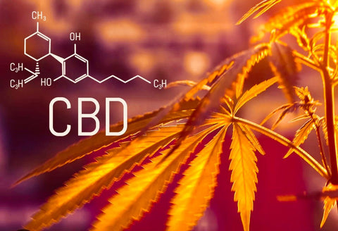 What is CBD? - THWC Ltd