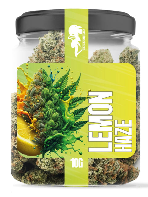 COCORI Bud - Lemon Haze