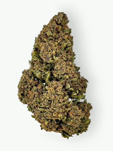 Amnesia Flower - THWC Ltd