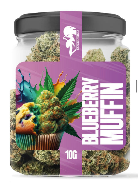 COCORI Bud - Blueberry Muffin - THWC Ltd