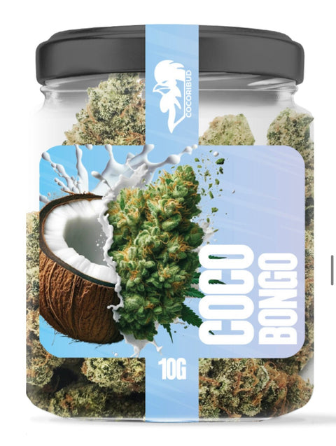 COCORI Bud - Coco Bongo - THWC Ltd