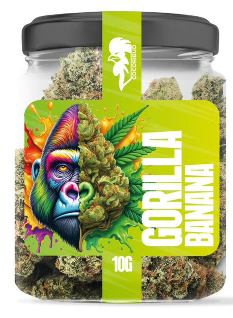 COCORI Bud - Gorilla Banana - THWC Ltd