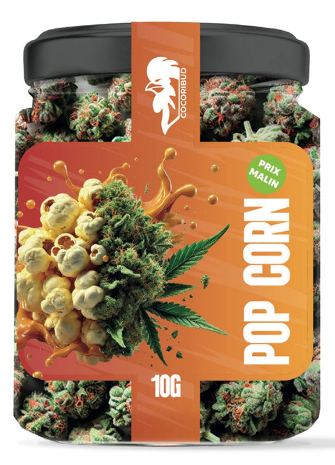 COCORI Bud - Popcorn - THWC Ltd