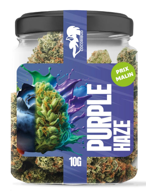 COCORI Bud - Purple Haze - THWC Ltd