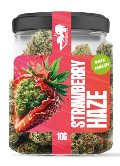 COCORI Bud - Strawberry Haze - THWC Ltd