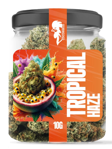 COCORI Bud - Tropical Haze - THWC Ltd