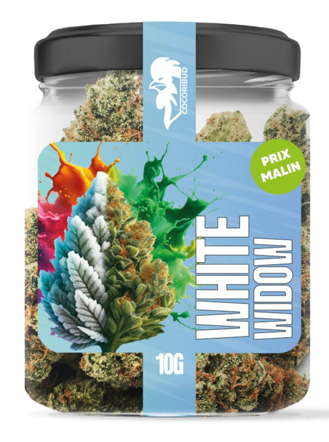 COCORI Bud - White Widow - THWC Ltd