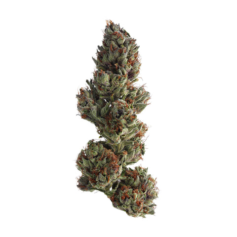 Runtz Flower - THWC Ltd