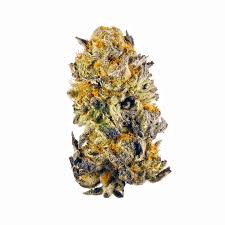 Tropical Punch Flower - THWC Ltd