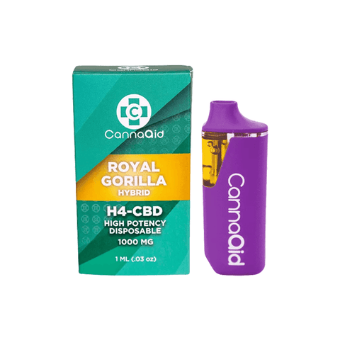 CannaAid 1000mg H4 CBD Disposable Vape Device - The Hemp Wellness Centre